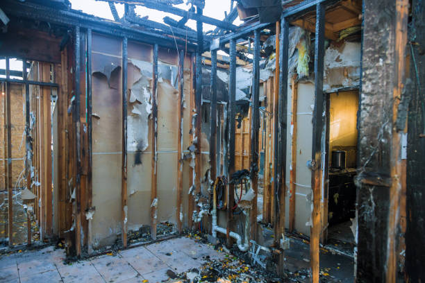 Professional Fire Damage Removal technician working in Golden Grove, SC